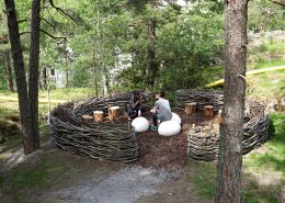 fagelsangen_nest