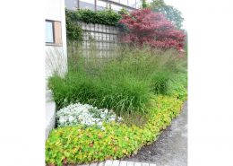 ronneberga_plantering